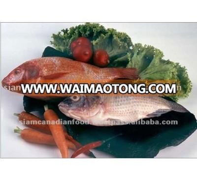 Various Styles Tilapia Fish