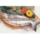 Vietnam Catfish Vietnam Basa, Pacific Dorey, River Cobbler, Pangasius